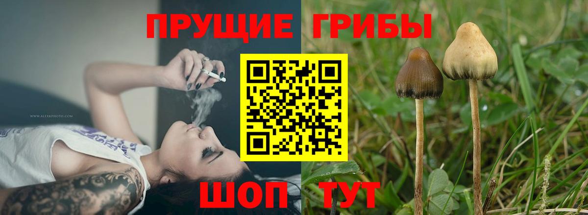 Галлюциногенные грибы Magic Shrooms  Галлюциногенные грибы GOLDEN TEACHER  Вход с VPN  Октябрьский 